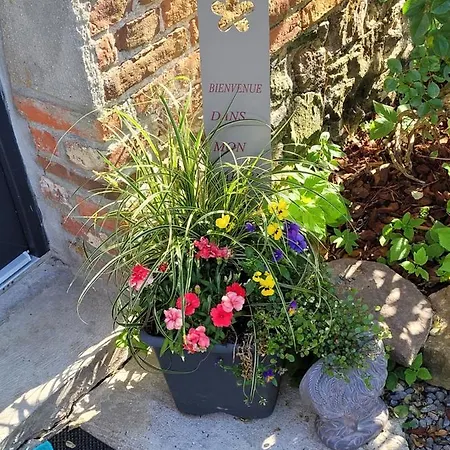 Studio Bienvenue Du Cote De Chez Nous Avec Jardin Privatif Wignehies Exterior photo