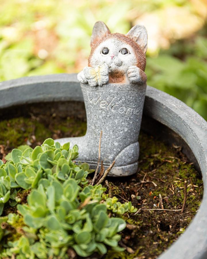 Bienvenue Du Cote De Chez Nous Avec Jardin Privatif Wignehies