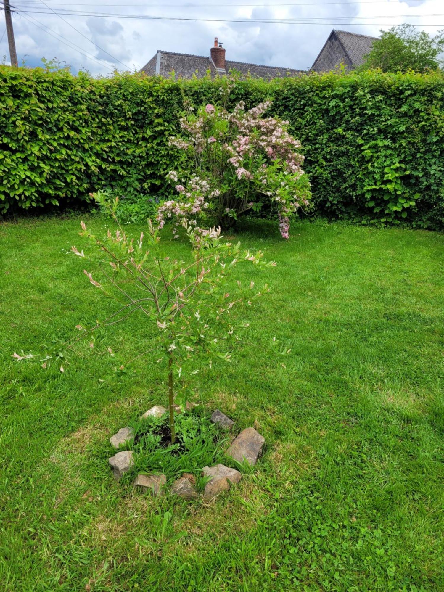 Bienvenue Du Cote De Chez Nous Avec Jardin Privatif Apartment